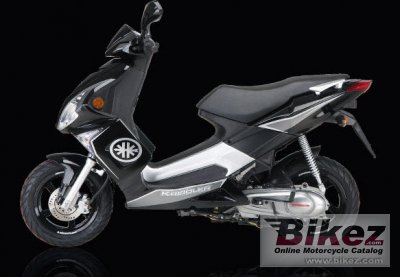 2008 kreidler florett rmc-g 125 race photo